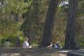 Picnic by the river.jpg